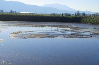 organic lagoon treatment